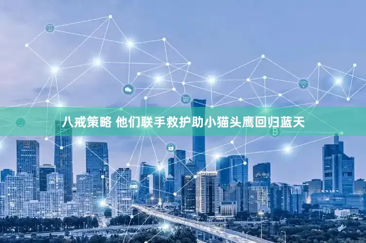 八戒策略 他们联手救护助小猫头鹰回归蓝天