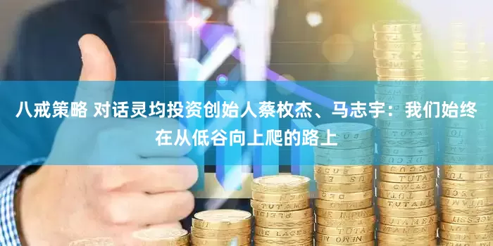 八戒策略 对话灵均投资创始人蔡枚杰、马志宇：我们始终在从低谷向上爬的路上